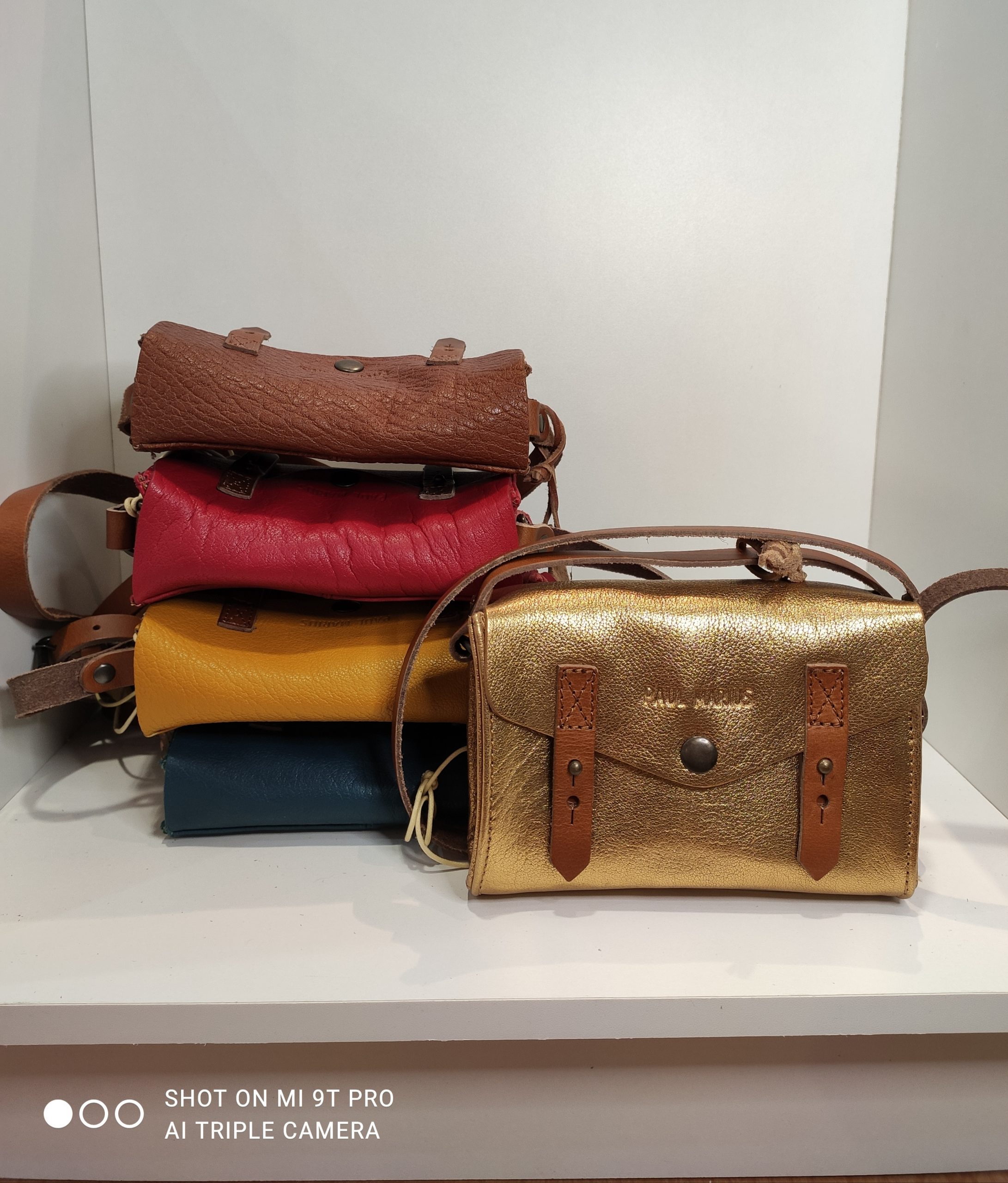 le mini indispensable paul marius